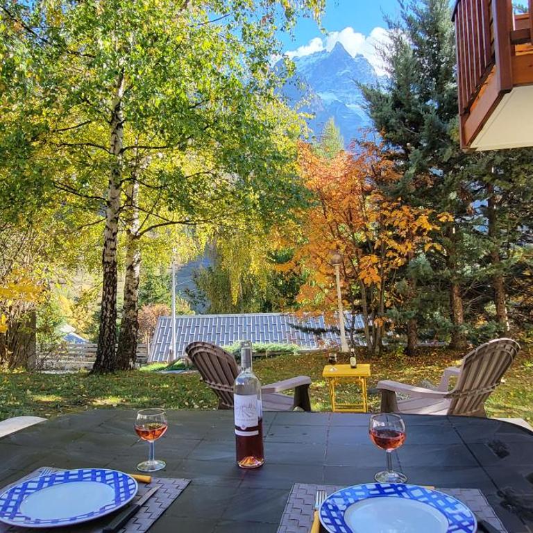 Mountain Lodge in Alps-chez Philippe, Panoramic-Village, Renting, view over Glaciers - Chalet CHEVREUIL N°9 Two Bedroom with private terrace and glacier view - 13