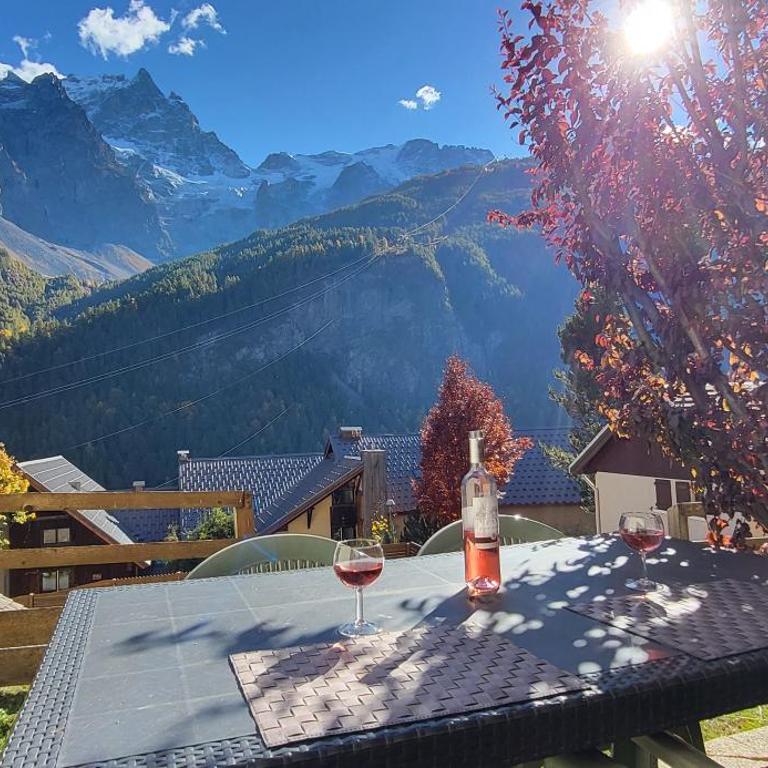 Mountain Lodge in Alps-chez Philippe, Panoramic-Village, Renting, view over Glaciers - Chalet GRAND AIGLE n°2 Two bedroom and mezzanine with private terrace and glacier view - 14