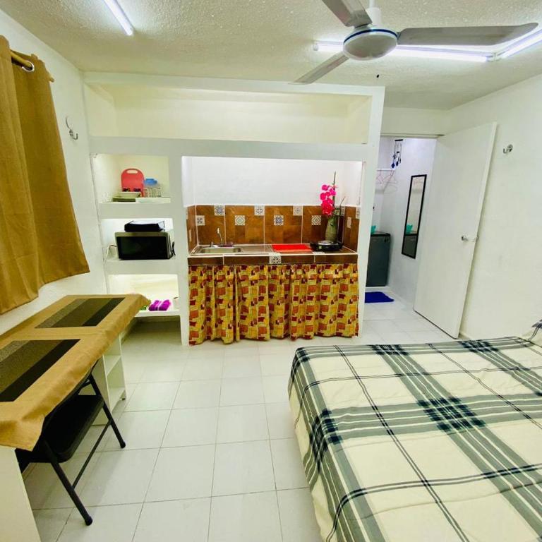 Colibrí - One-Bedroom Apartment - 5
