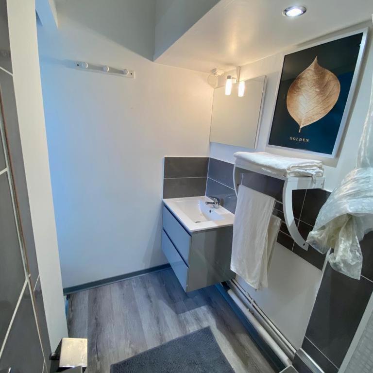 Appartement dernier etage 300m plage3 - Apartment mit 1 Schlafzimmer - 21