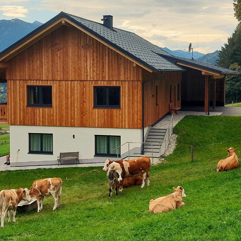 Naturchalet Forster - Apartment mit 2 Schlafzimmern und Balkon - 10