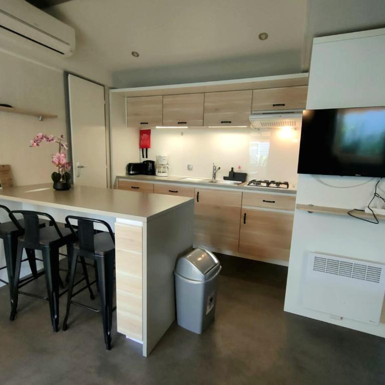 MOBILHOME 6-8 PERSONNES Camping LES VIVIERS 4 ETOILES CAP FERRET - Mobile Home - 3