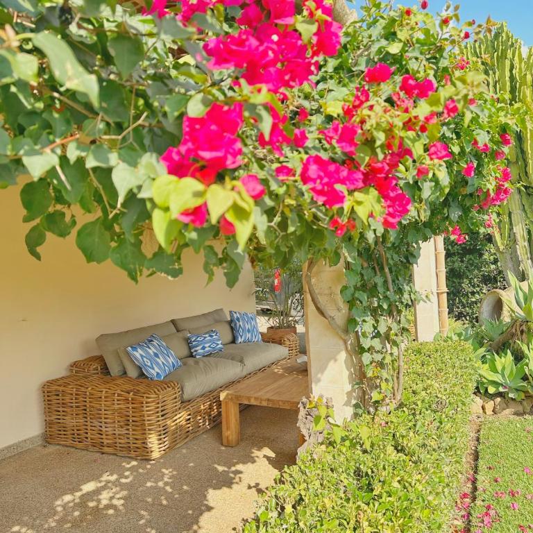 Finca Can Daniel - Pool - Außenküche - Garten - Casa de 3 dormitorios - 51