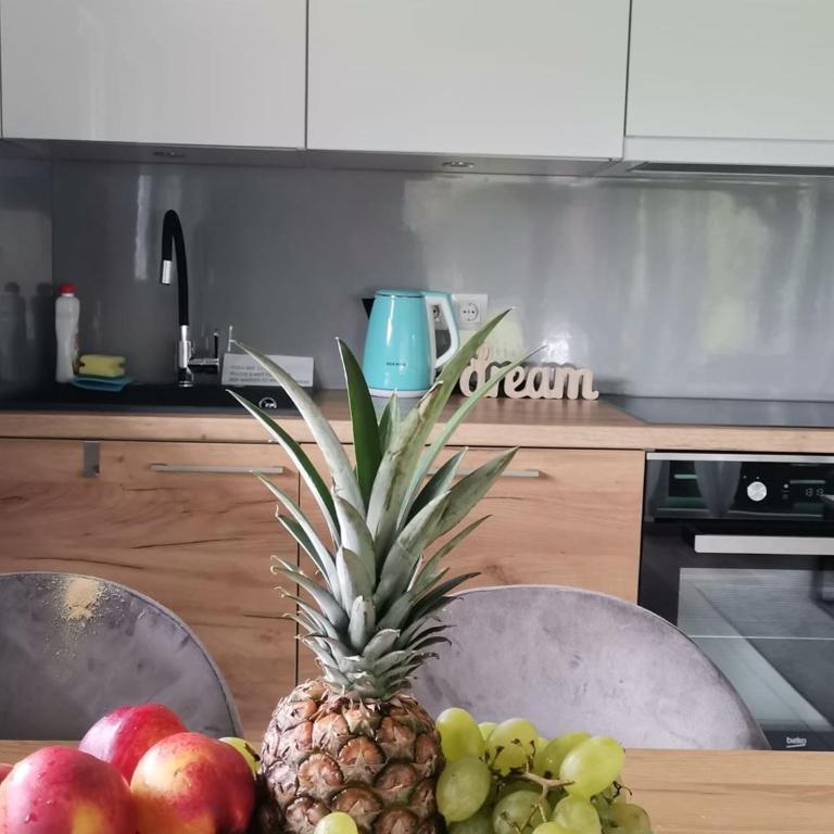 Kuća za odmor Villa Lana Bihać - One Bedroom Villa - 6