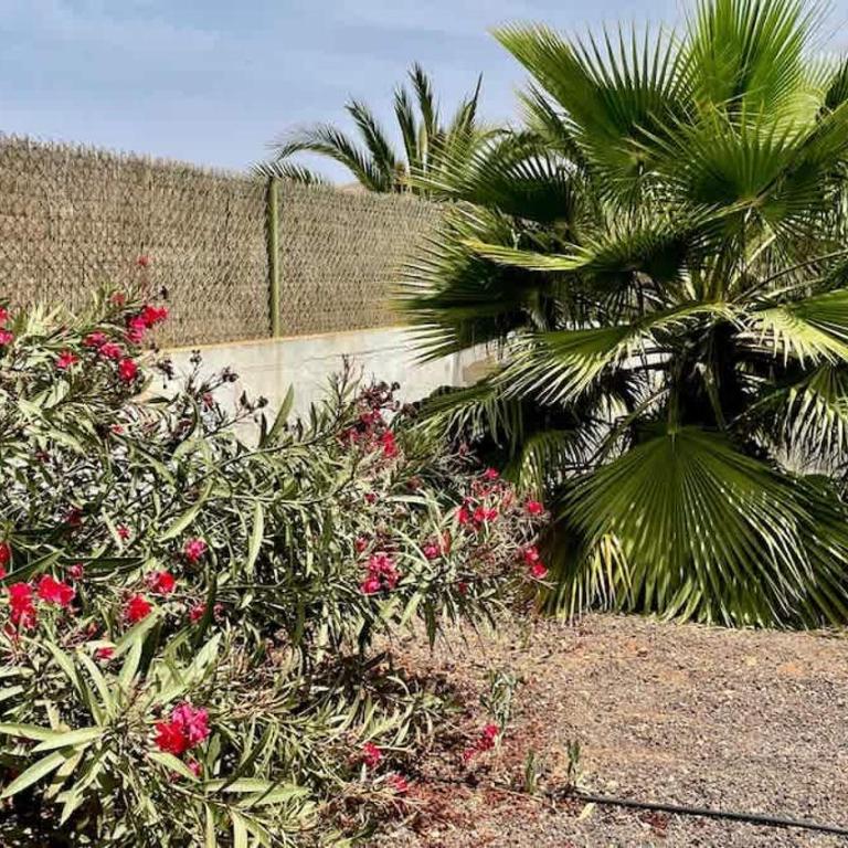 Villa spacieuse et lumineuse avec piscine Chauffée - Villa con piscina privada - 27