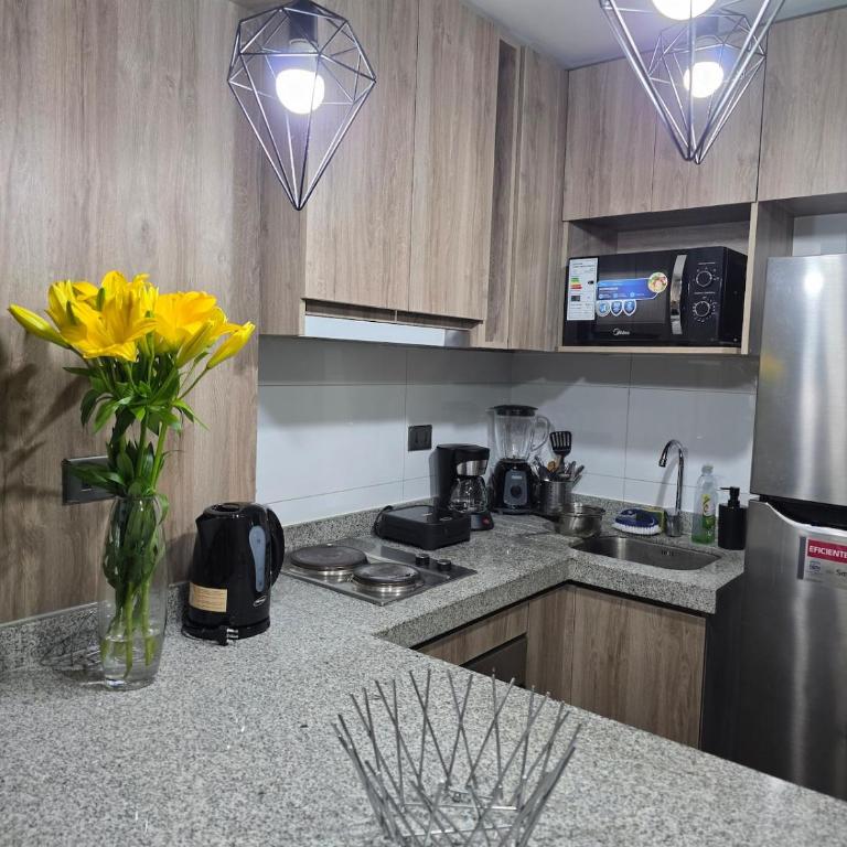 Apartment Amunategui, Santiago Centro - Two-Bedroom Apartment - 19