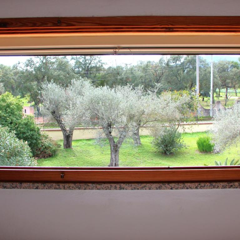Il Nido del Falco - Camera Tripla con Bagno Privato - 1
