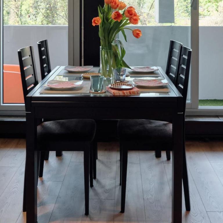 Terrasse, appartement rénové dans le 15e arr - Appartement 2 Chambres - 10