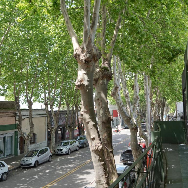 Disfruta Colonia en familia con Parrilla y terraza - Three-Bedroom House - 18