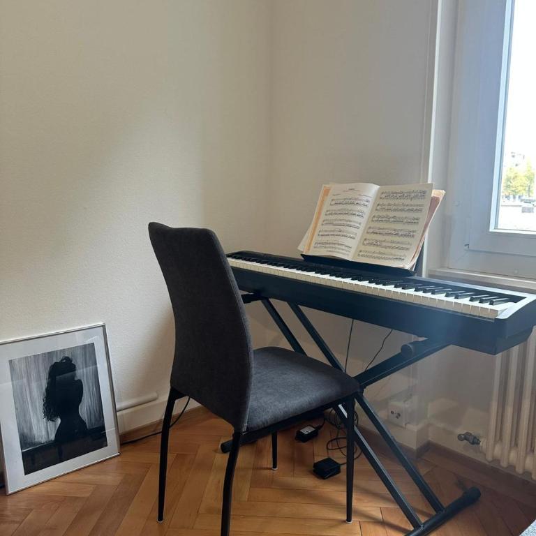 Renovated Apartment - Lausanne - Apartment mit 1 Schlafzimmer - 6