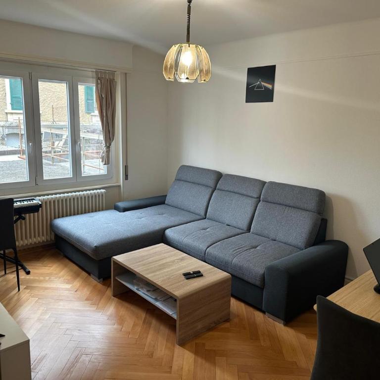 Renovated Apartment - Lausanne - Apartment mit 1 Schlafzimmer - 2