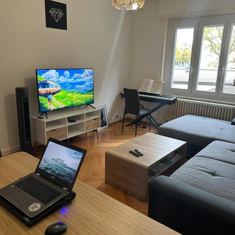 Renovated Apartment - Lausanne - Apartment mit 1 Schlafzimmer - 1
