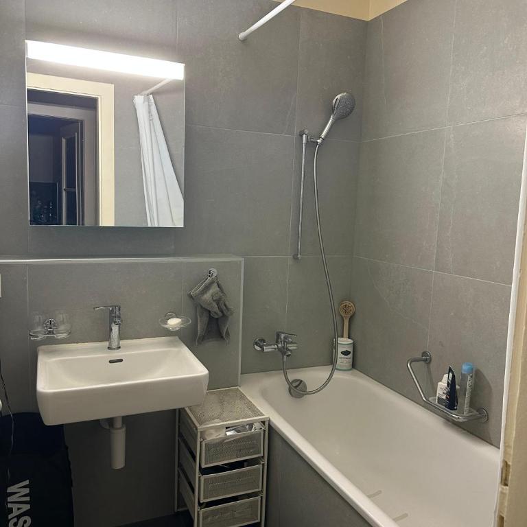 Renovated Apartment - Lausanne - Apartment mit 1 Schlafzimmer - 11