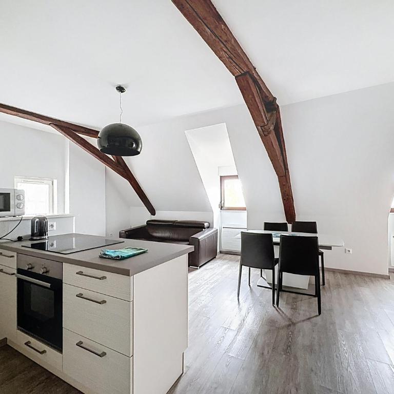 A L'ill - Apparts & Studios Strasbourg Hyper Centre - Appartamento con 4 Camere da Letto e Vista Fiume - 18