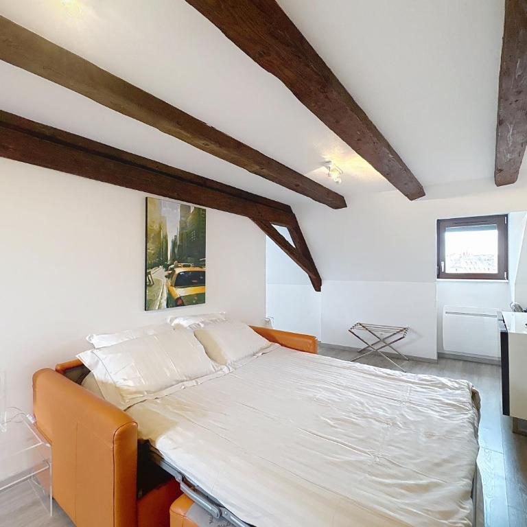 A L'ill - Apparts & Studios Strasbourg Hyper Centre - Appartamento Monolocale con Vista Fiume - 11