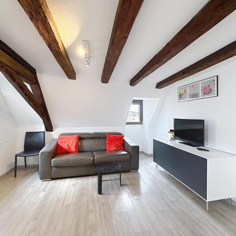 A L'ill - Apparts & Studios Strasbourg Hyper Centre - Appartamento Superior con Vista Fiume - 12