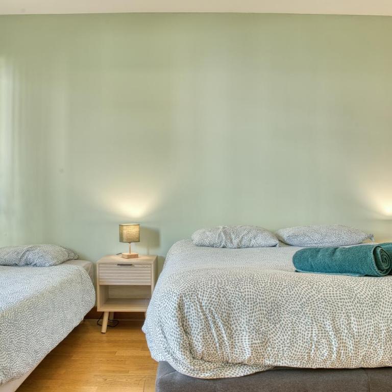 Le Duplex - Disneyland - Parking - Rooftop - Wifi - Apartment - 54