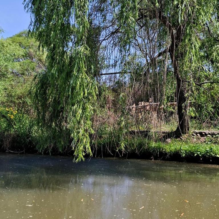 House of culture and meetings - Four-Bedroom House - 9