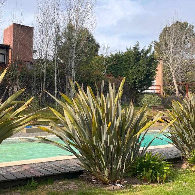 Complejo Monte Gaviota - Casa con 1 dormitorio - 9