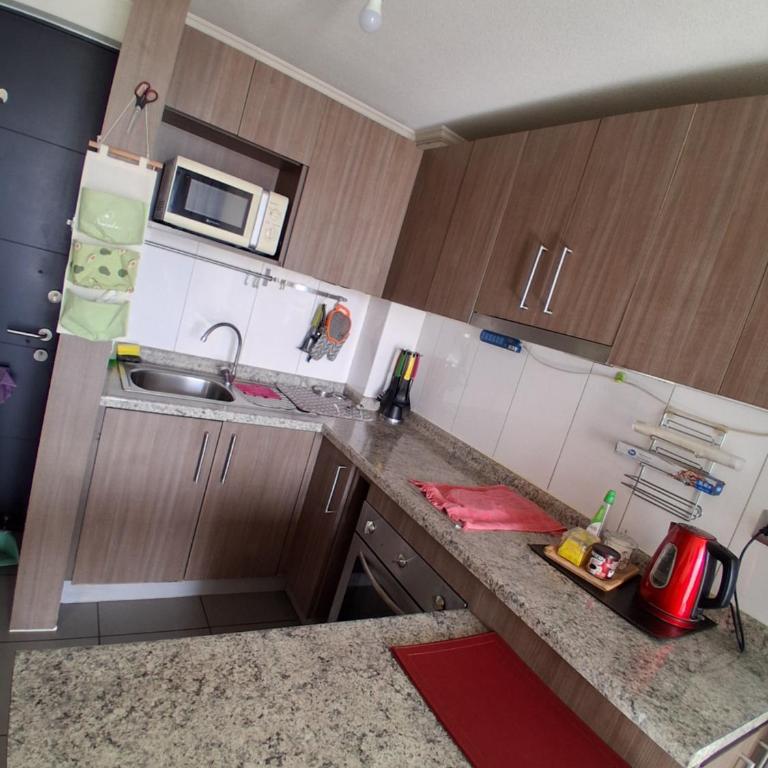 Departamento Parque O'Higgins - One-Bedroom Apartment with Balcony and City View - 5