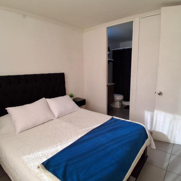 Departamento Parque O'Higgins - One-Bedroom Apartment with Balcony and City View - 10