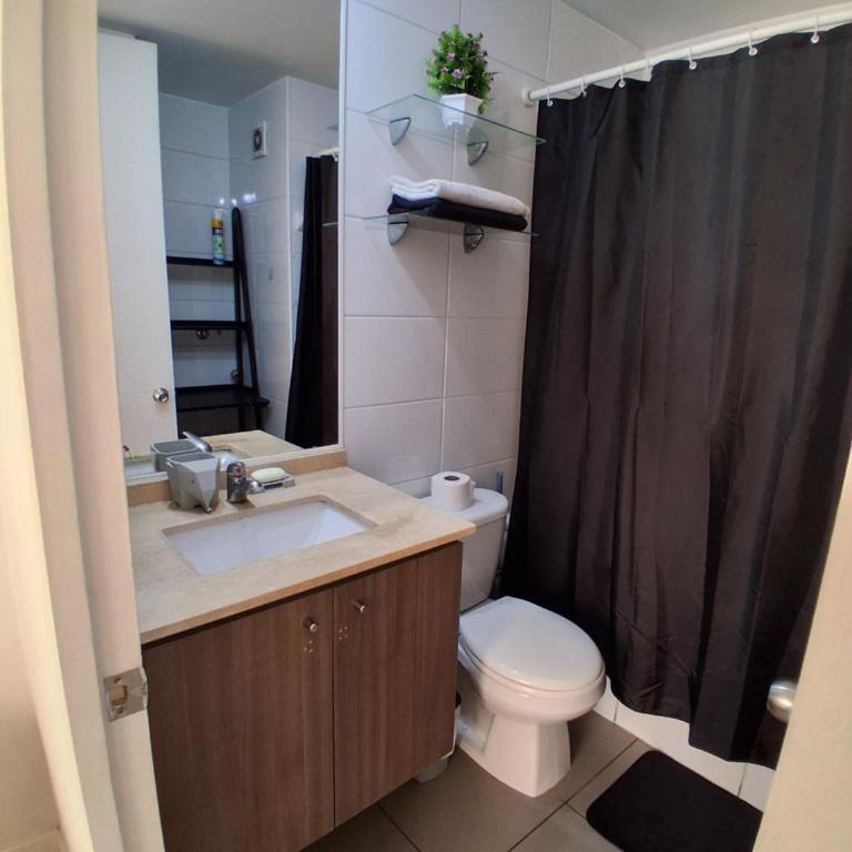Departamento Parque O'Higgins - One-Bedroom Apartment with Balcony and City View - 11
