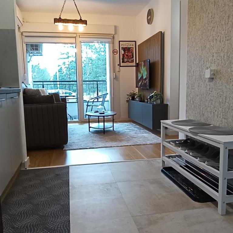 Picasso Divcibare Kota 992 - One-Bedroom Apartment - 1