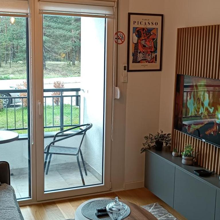 Picasso Divcibare Kota 992 - One-Bedroom Apartment - 6