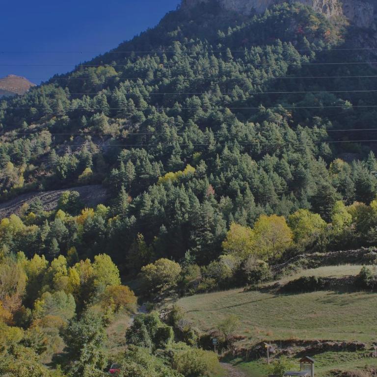 Villa Rosa Canfranc, tu refugio en el corazón del Pirineo Aragonés - One-Bedroom Apartment - 22