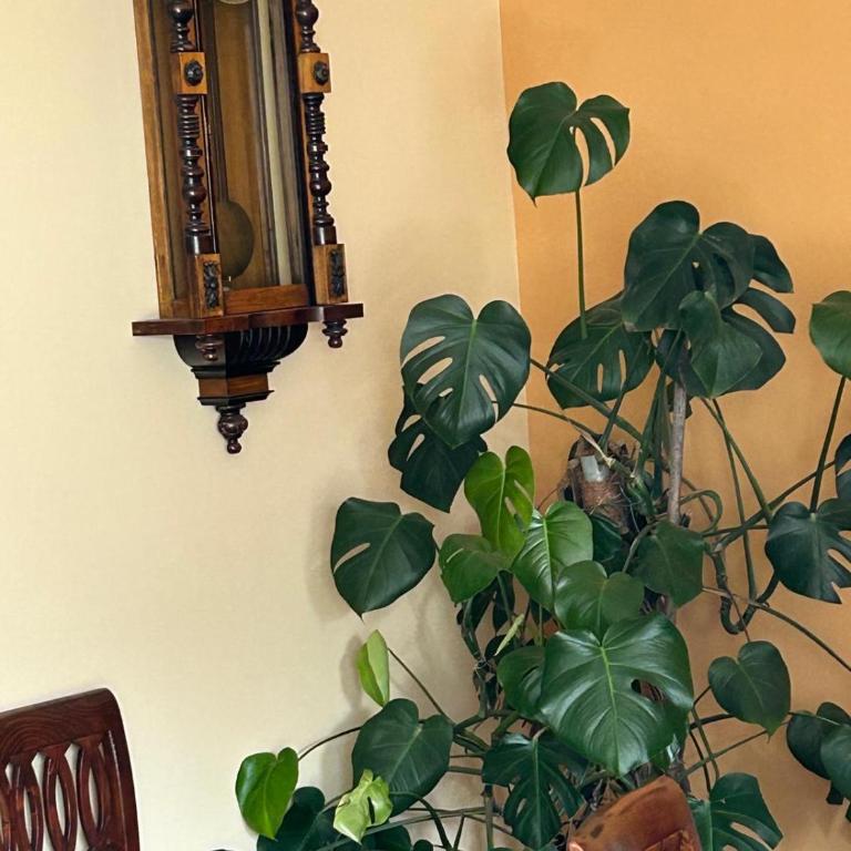 Casa Rita - Appartamento con 3 Camere da Letto - 4
