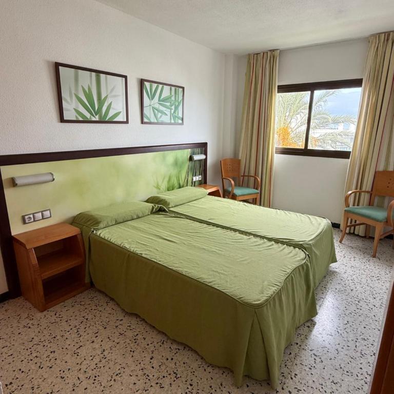 Los Ficus - One-Bedroom Apartment - 2