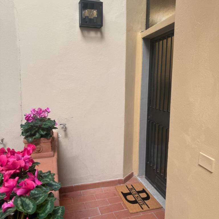 BLUE SUITE - Pitti Place Residence - Appartamento con 1 Camera da Letto - 6
