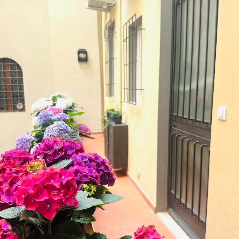 BLUE SUITE - Pitti Place Residence - Appartamento con 1 Camera da Letto - 16