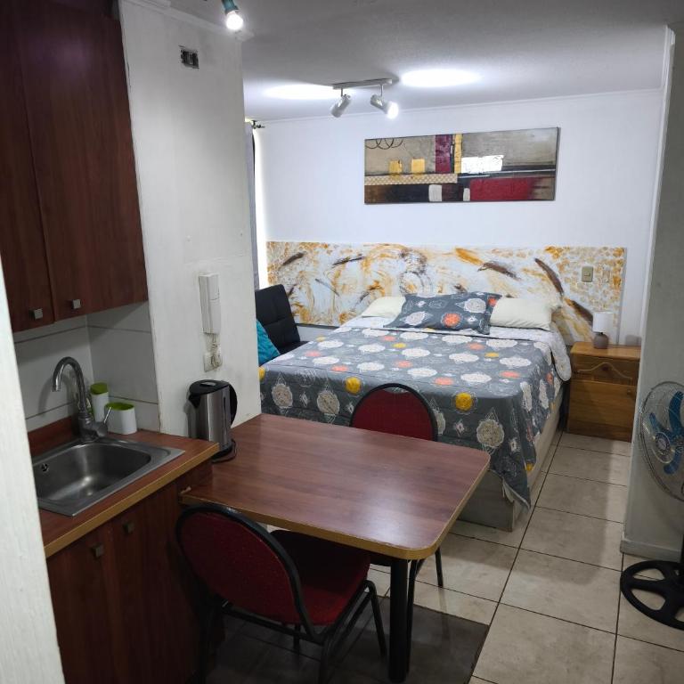 Gran Santiago Home Estudios - Apartamento de 1 dormitorio - 16
