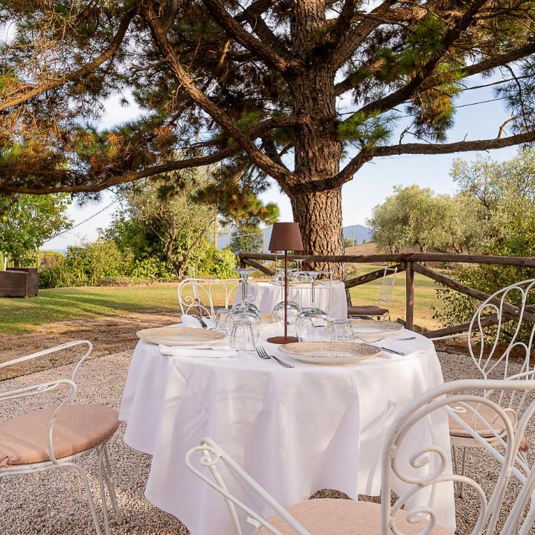 Locanda Vipore - Ampia Camera Matrimoniale/Doppia con Letti Singoli - 19