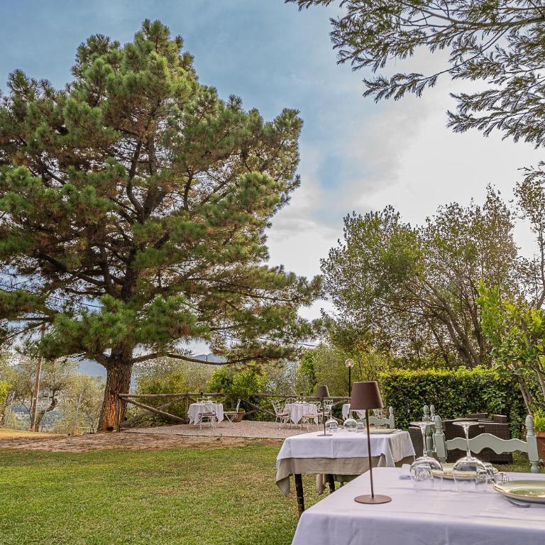 Locanda Vipore - Camera Matrimoniale/Doppia con Letti Singoli con Bagno - 18