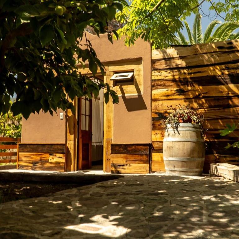 Cabaña de lujo en La Serena - One-Bedroom Apartment with Garden View - 49
