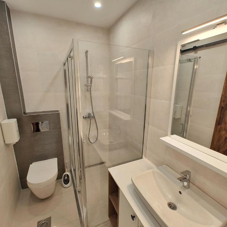 Apartmani Magnet Zlatibor - One-Bedroom Apartment with City View - 2