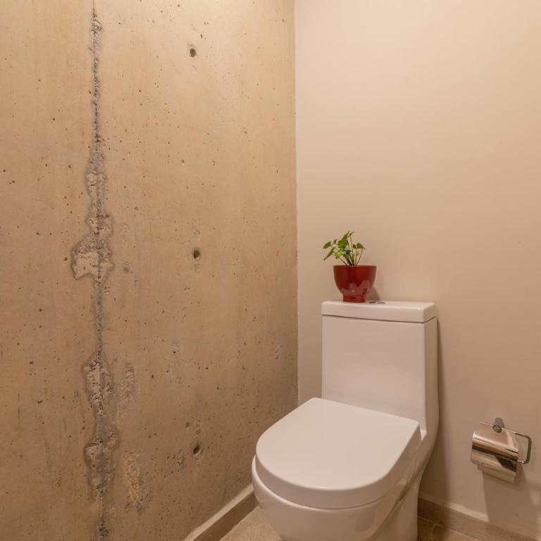 Spacious and cozy apartment in Mexico City - Apartamento de 1 dormitorio - 11