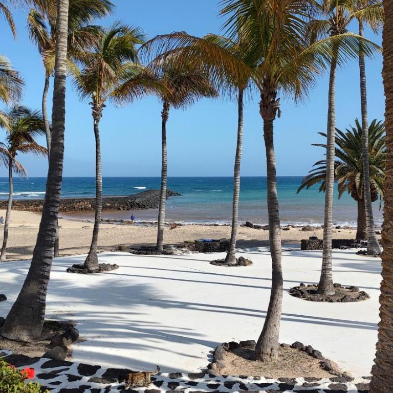 Lanzarote Beachfront Apartment on Las Cucharas Beach with a sea view - Apartamento de 1 dormitorio - 38