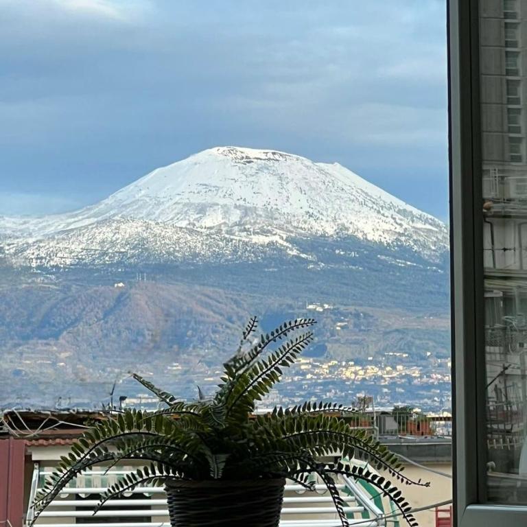 Vesuvio Apartment - Appartamento - 28