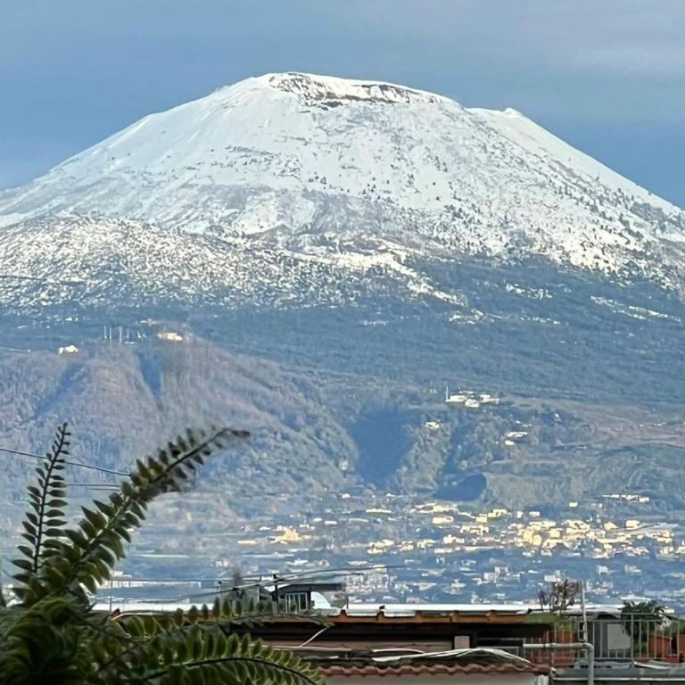 Vesuvio Apartment - Appartamento - 9