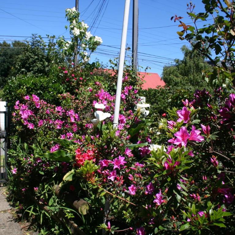 Newendo Pucón - Habitación Doble - 24