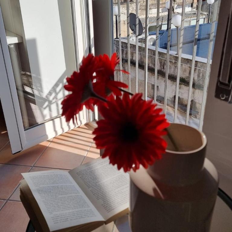 Vesuvio Apartment - Appartamento - 54