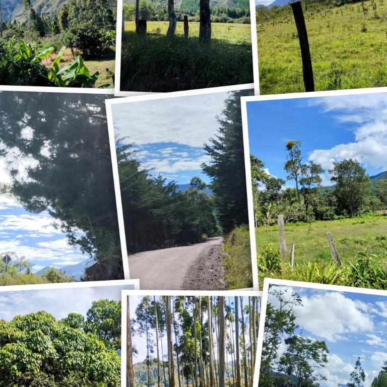 Casa Las Palmeras - Casa de 2 dormitorios - 11