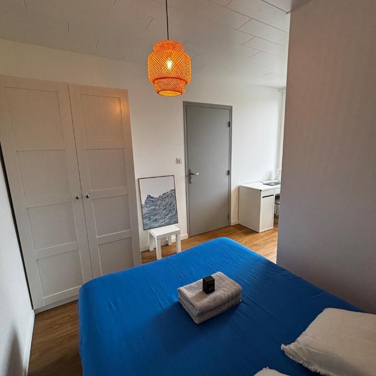 Le Nébula - rénové - parking - proche centre ville - Appartement 1 Chambre - 3