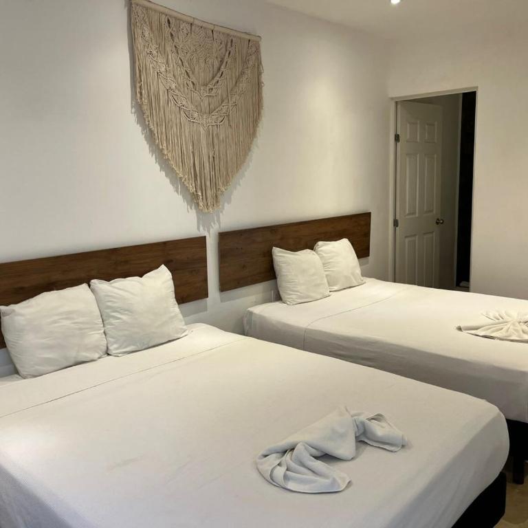 Live Coco Suites - Hotel Boutique & Rooftop - Standard Twin Room - 5