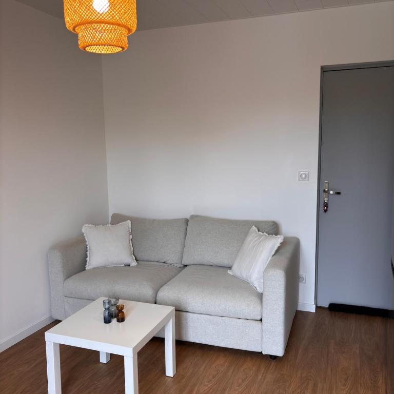 Le Nébula - rénové - parking - proche centre ville - Appartement 1 Chambre - 5