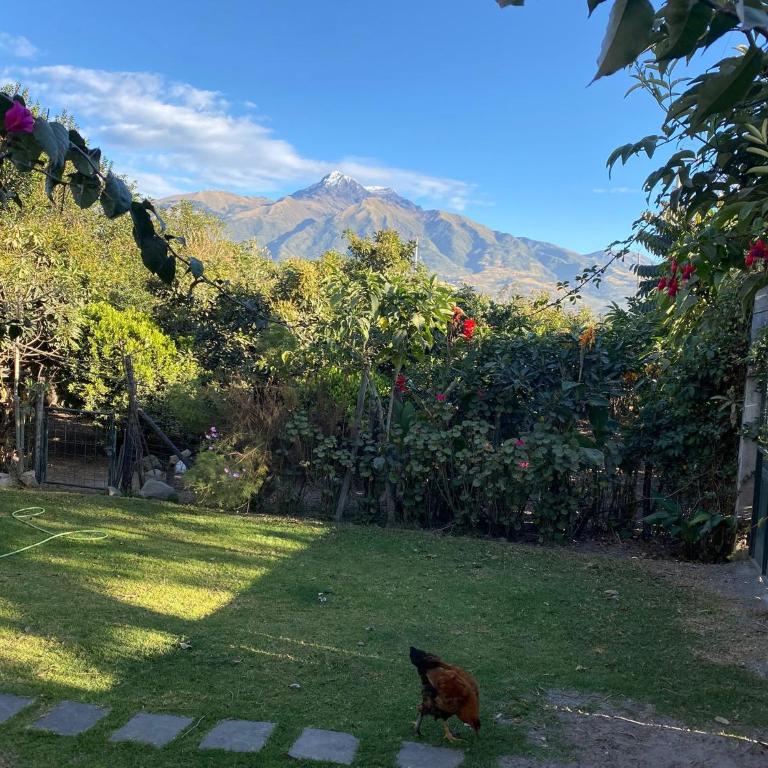 Casa Blanca departamento - One-Bedroom Apartment - 2