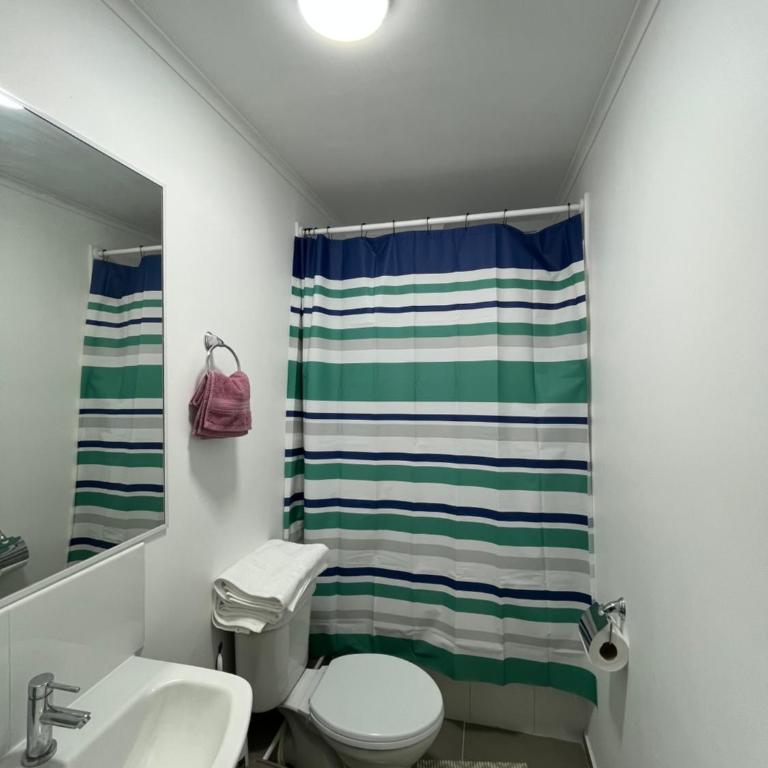 Depto Completamente Nuevo con 2 Estacionamientos - One-Bedroom Apartment - 4